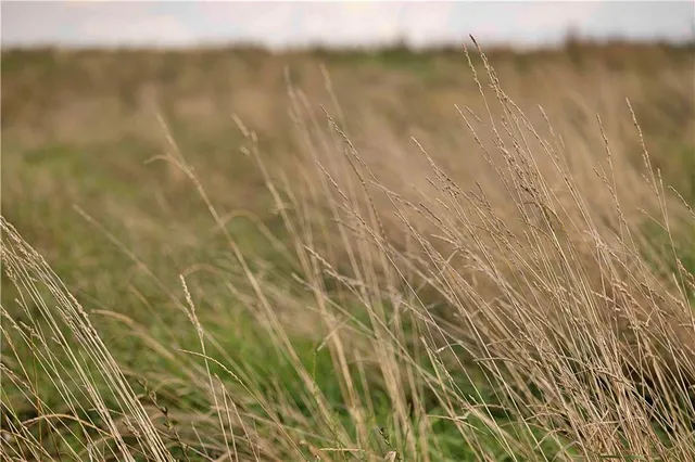 $230,813 | Southwest 52nd Avenue, Trenton, MO 64683