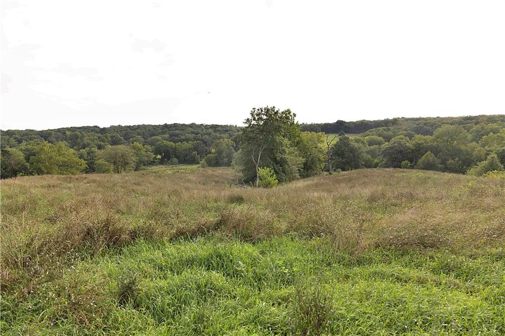 Southwest 52nd Avenue Trenton, MO 64683 - Photo 18 of 60