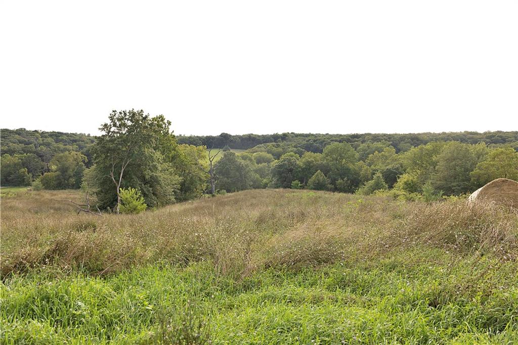 Southwest 52nd Avenue Trenton, MO 64683 - Photo 19 of 60