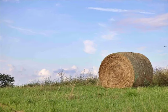 $230,813 | Southwest 52nd Avenue, Trenton, MO 64683