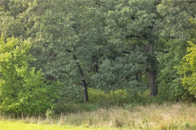 $230,813 | Southwest 52nd Avenue, Trenton, MO 64683