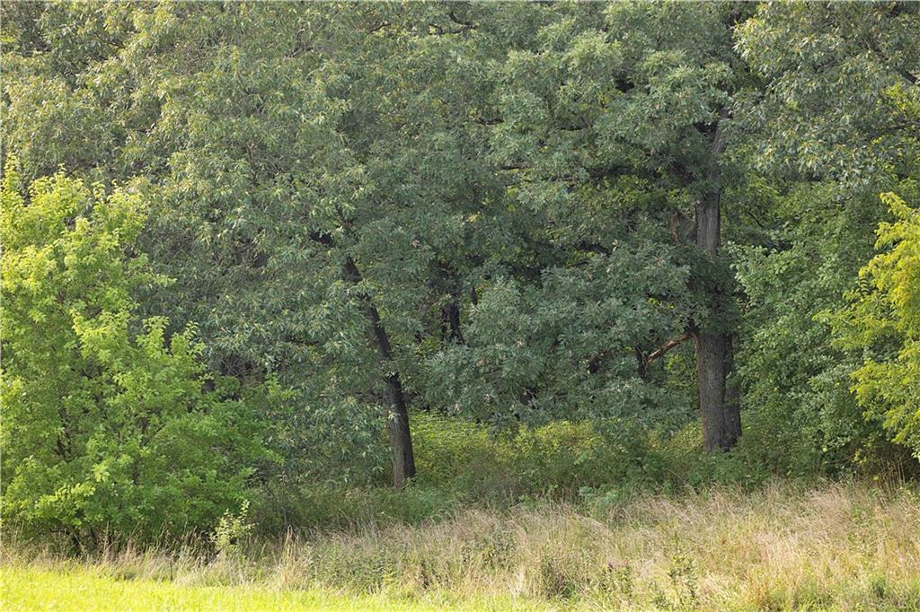 Southwest 52nd Avenue Trenton, MO 64683 - Photo 24 of 60