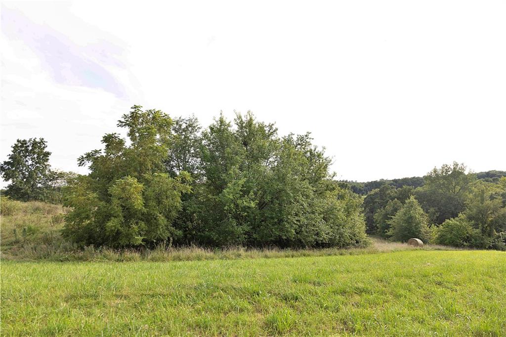 Southwest 52nd Avenue Trenton, MO 64683 - Photo 25 of 60