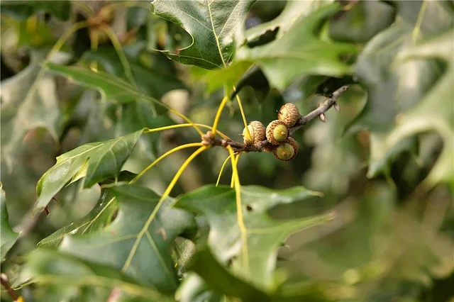 $230,813 | Southwest 52nd Avenue, Trenton, MO 64683