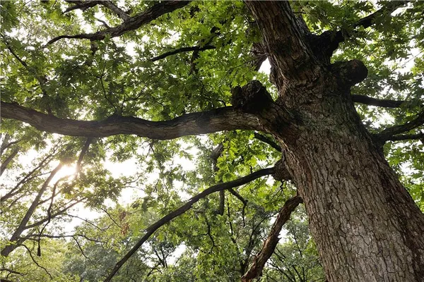 $230,813 | Southwest 52nd Avenue, Trenton, MO 64683