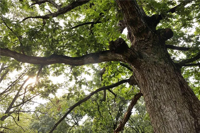 $230,813 | Southwest 52nd Avenue, Trenton, MO 64683