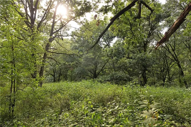 $230,813 | Southwest 52nd Avenue, Trenton, MO 64683