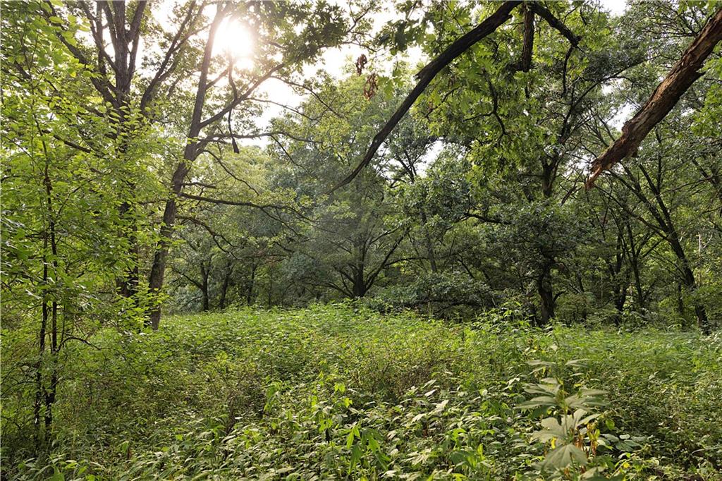 Southwest 52nd Avenue Trenton, MO 64683 - Photo 28 of 60