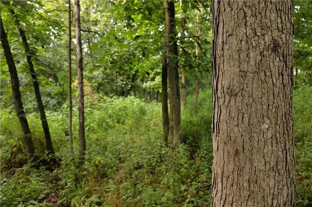 $230,813 | Southwest 52nd Avenue, Trenton, MO 64683