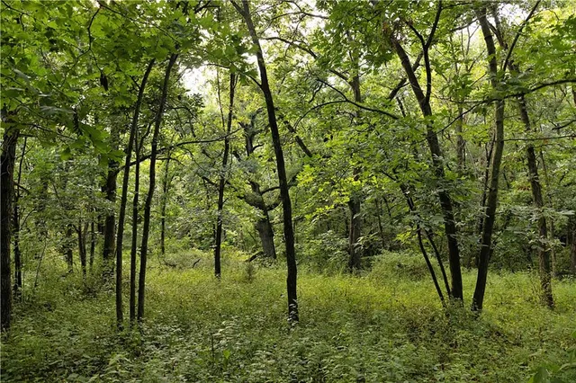 $230,813 | Southwest 52nd Avenue, Trenton, MO 64683