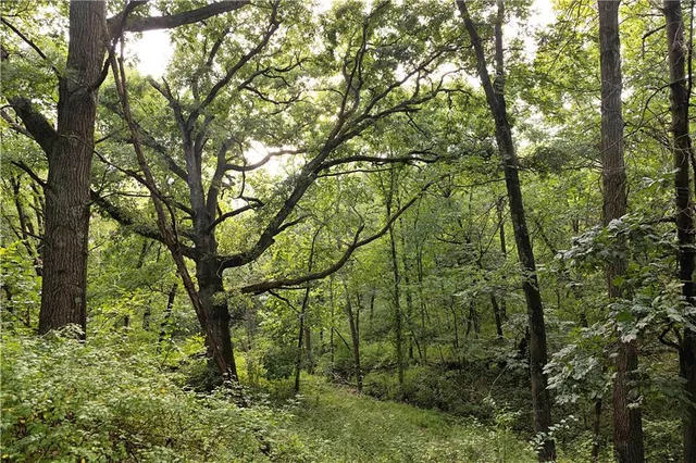 $230,813 | Southwest 52nd Avenue, Trenton, MO 64683