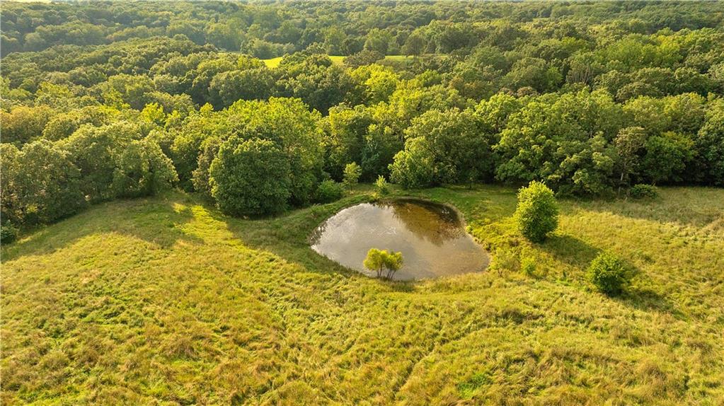 Southwest 52nd Avenue Trenton, MO 64683 - Photo 46 of 60