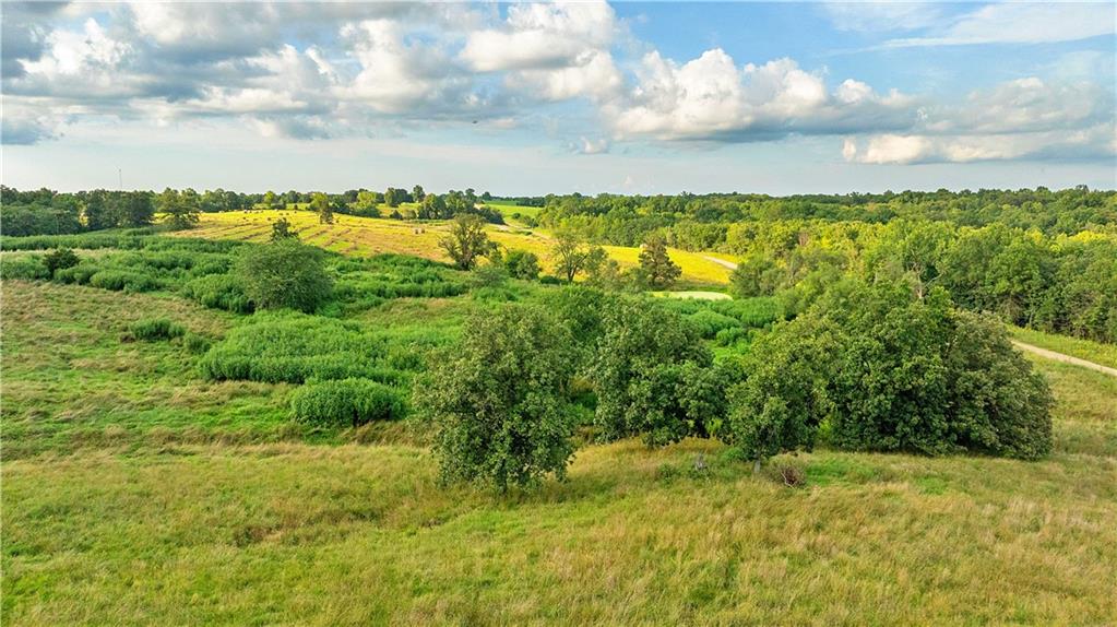 Southwest 52nd Avenue Trenton, MO 64683 - Photo 48 of 60