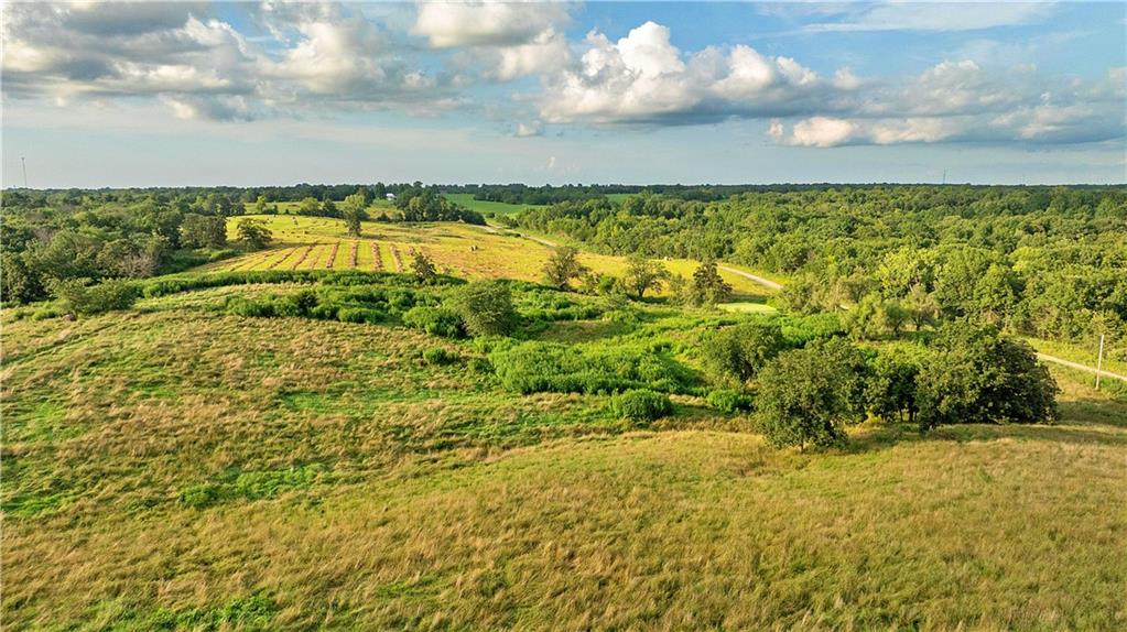 Southwest 52nd Avenue Trenton, MO 64683 - Photo 50 of 60