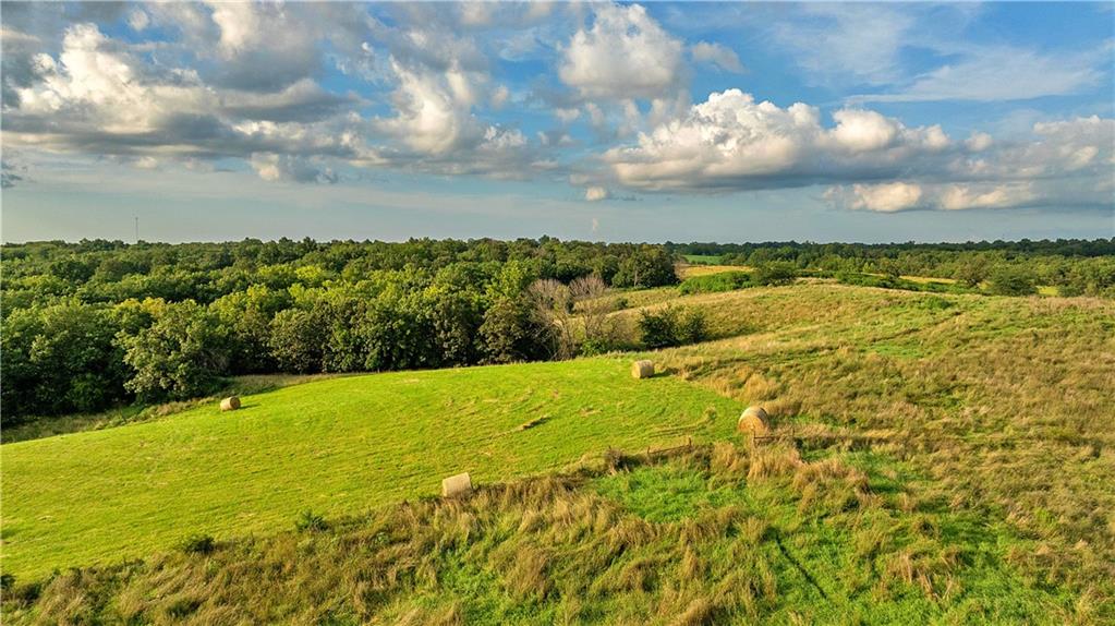 Southwest 52nd Avenue Trenton, MO 64683 - Photo 6 of 60