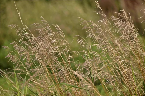 $230,813 | Southwest 52nd Avenue, Trenton, MO 64683