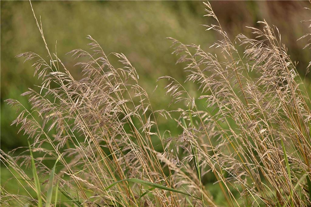 Southwest 52nd Avenue Trenton, MO 64683 - Photo 10 of 60