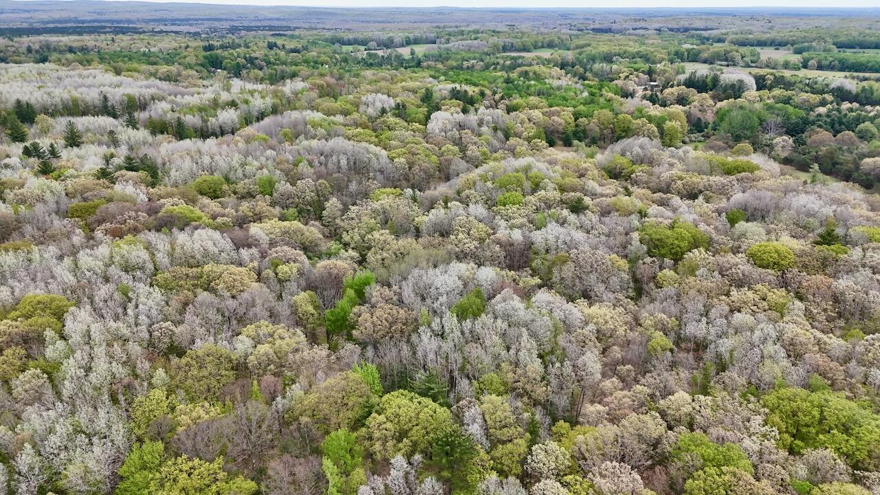 6153 South Branch Road Branch, MI 49402 - Photo 6 of 70 5