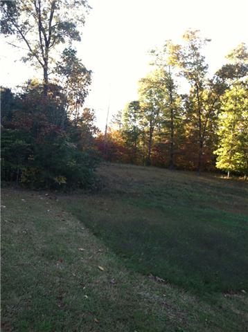 0 Miller Woodson Road Pleasant View, TN 37146 - Photo 3 of 3 Gallery Image 3