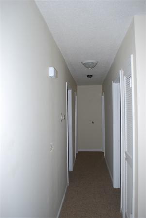 218 Arnold Road Sturbridge, MA 01518 - Photo 2 of 6