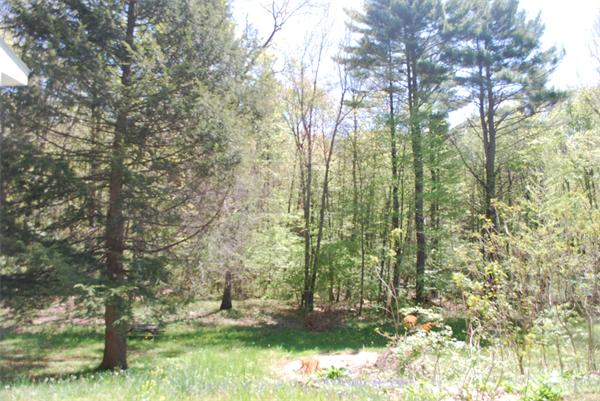 218 Arnold Road Sturbridge, MA 01518 - Photo 6 of 6
