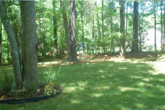 189 Olde Farm Road Pittsboro, NC 27312 - Photo 11 of 12 View of backyard