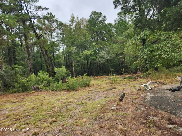 $34,900 | 210 Hwy Currie Nc 28435, Currie, NC 28435