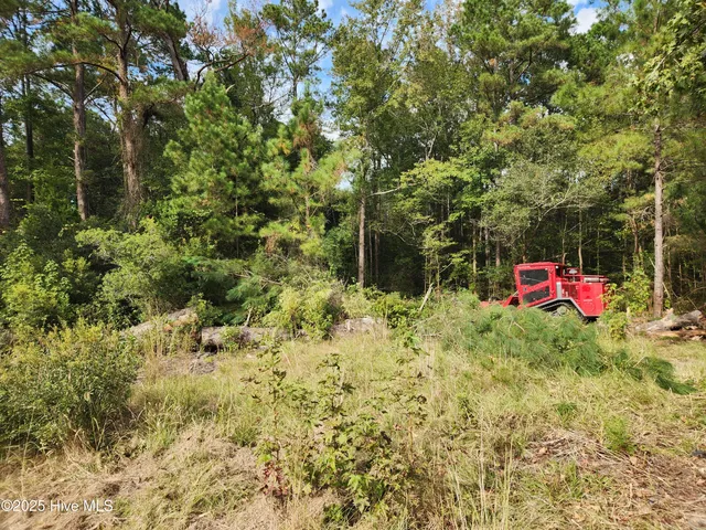 $44,900 | 210 Hwy Currie Nc 28435, Currie, NC 28435