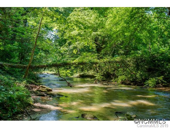 408 Riverview Road Tryon, NC 28782 - Photo 23 of 24