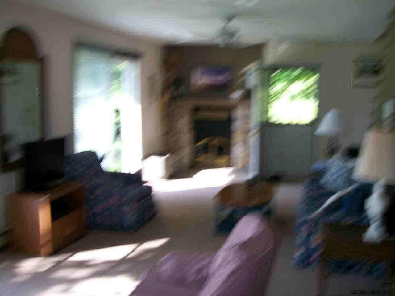 445 Co Route Brant Lake, NY 12815 - Photo 4 of 12 Photo 4