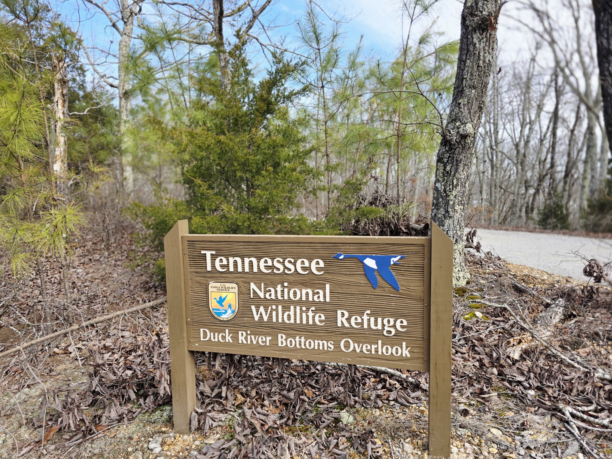 0 Birdsong Road Holladay, TN 38341 - Photo 53 of 70