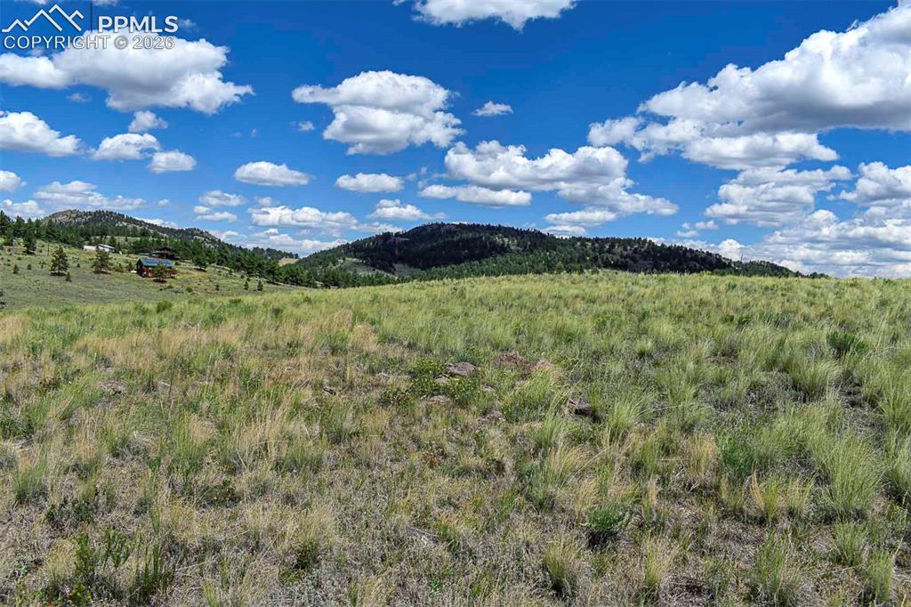 4680 County Road 71 Guffey, CO 80820 - Photo 14 of 15