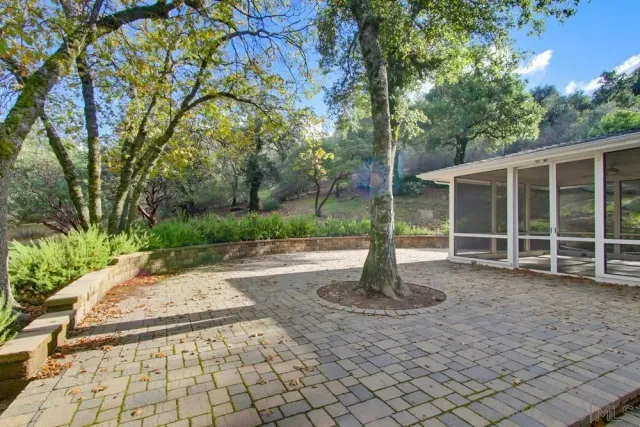 a view of a house with a yard and large tree