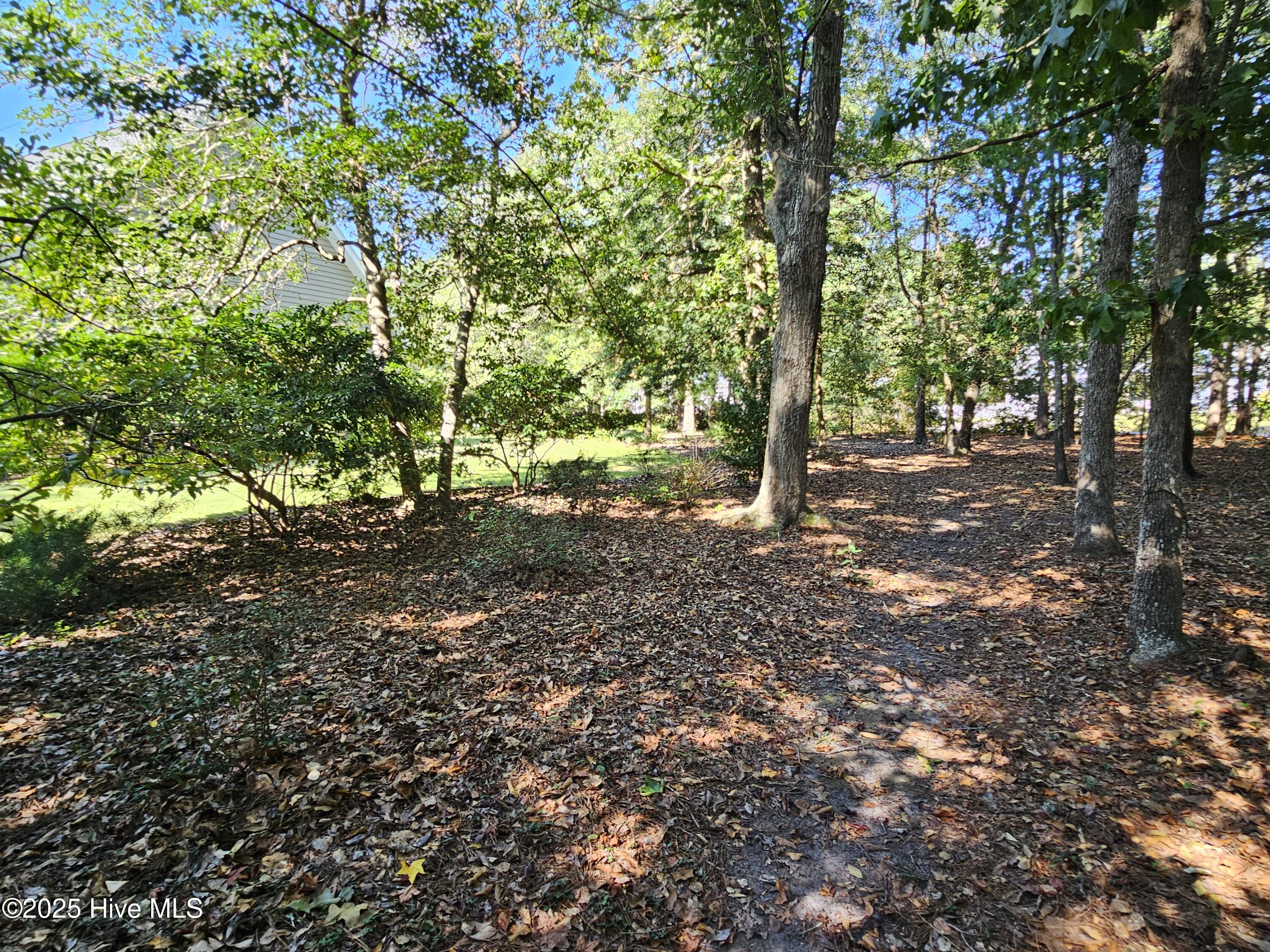 115 Dolphin Drive Hampstead, NC 28443 - Photo 26 of 28 20250917_151751