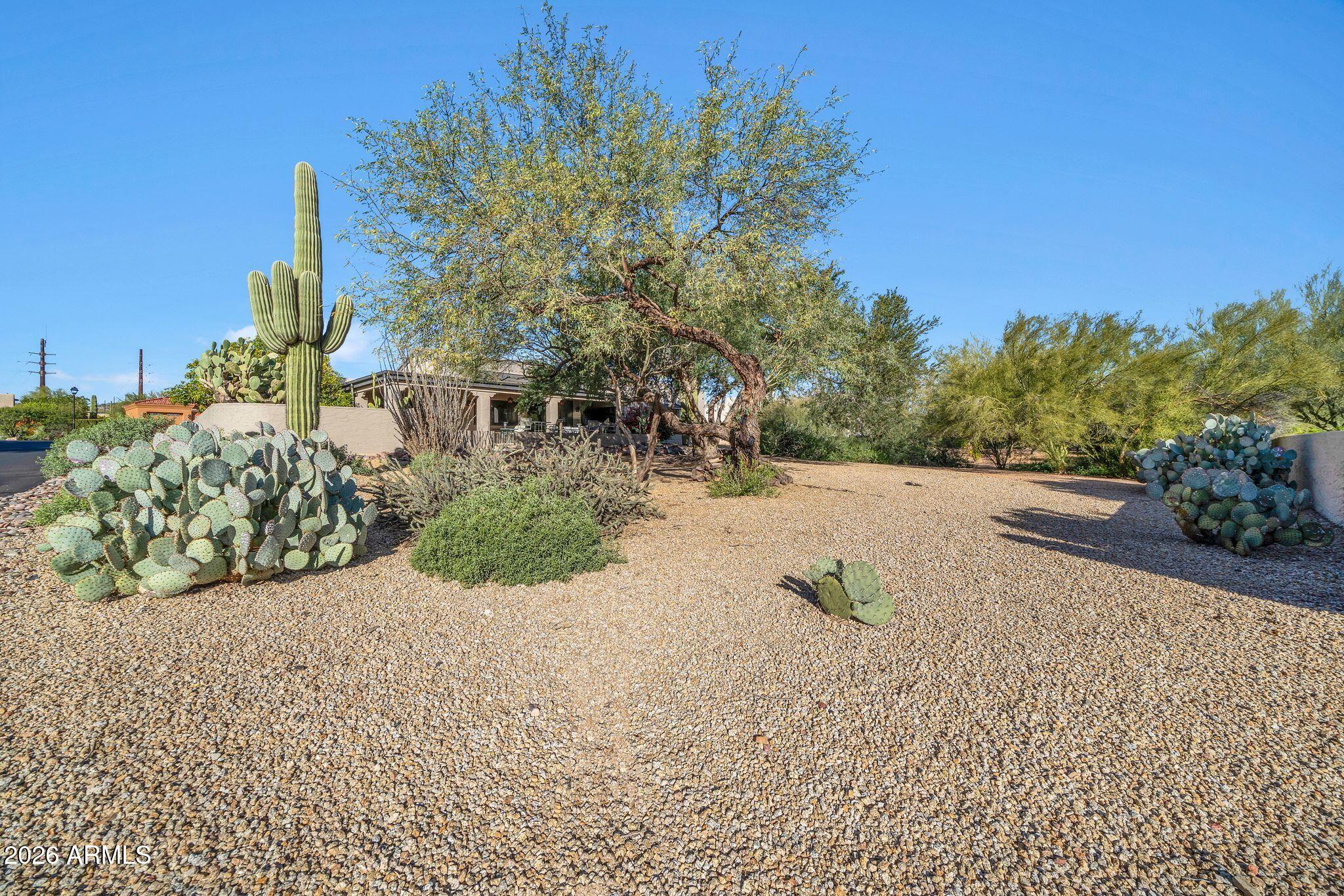 26445 North Avenida Del Ray Rio Verde, AZ 85263 - Photo 6 of 40 View from property line to home
