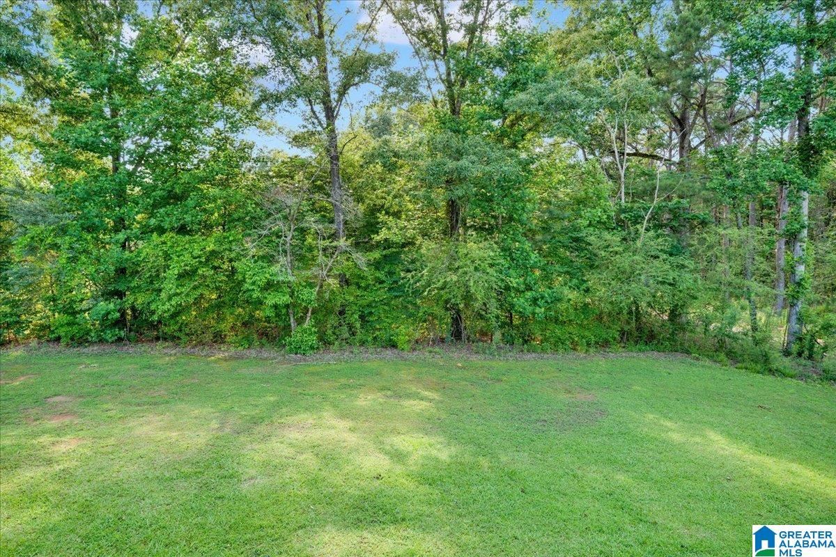 3396 Valley Ford Road Adger, AL 35006 - Photo 39 of 50