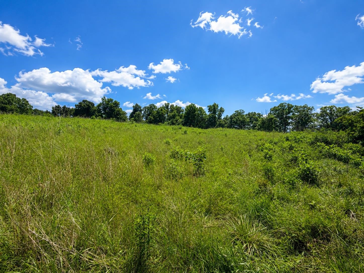 Lot 5 Green Tree Road Pembroke, VA 24136 - Photo 2 of 3 Gallery Image 2
