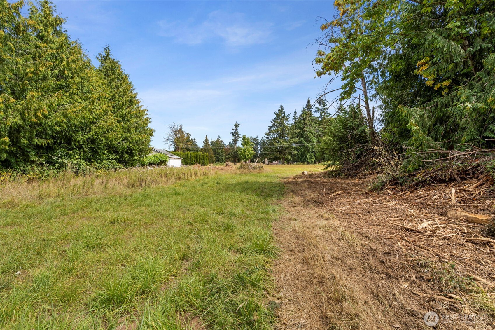 269 Kennedy Road Onalaska, WA 98570 - Photo 29 of 29 a view of a yard with a tree