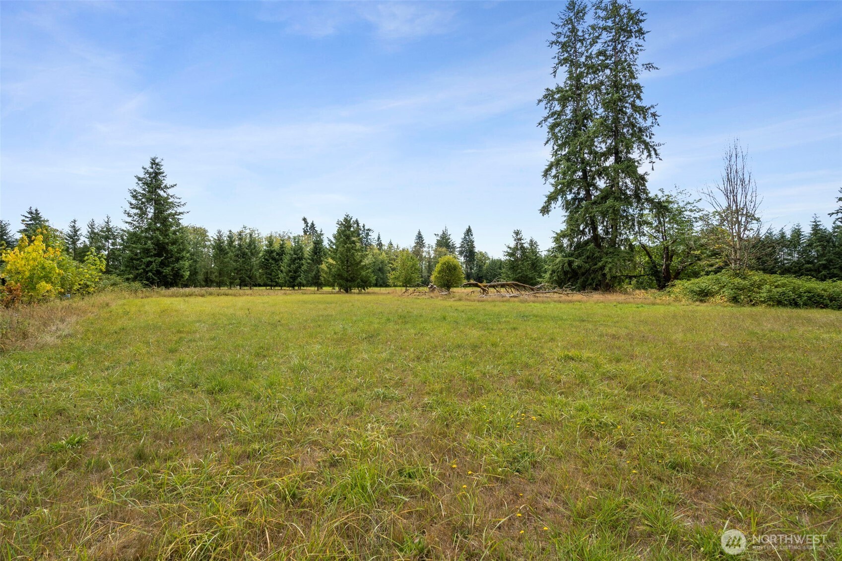 269 Kennedy Road Onalaska, WA 98570 - Photo 5 of 29 a view of a field with trees in the background