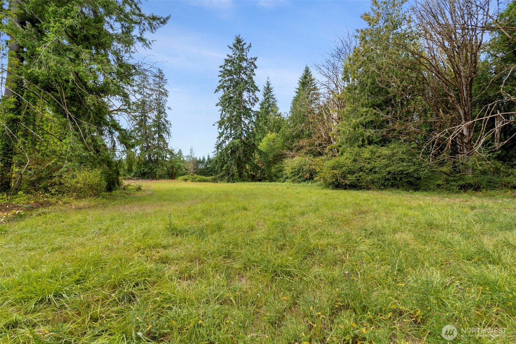 269 Kennedy Road Onalaska, WA 98570 - Photo 6 of 29 a view of yard with green space