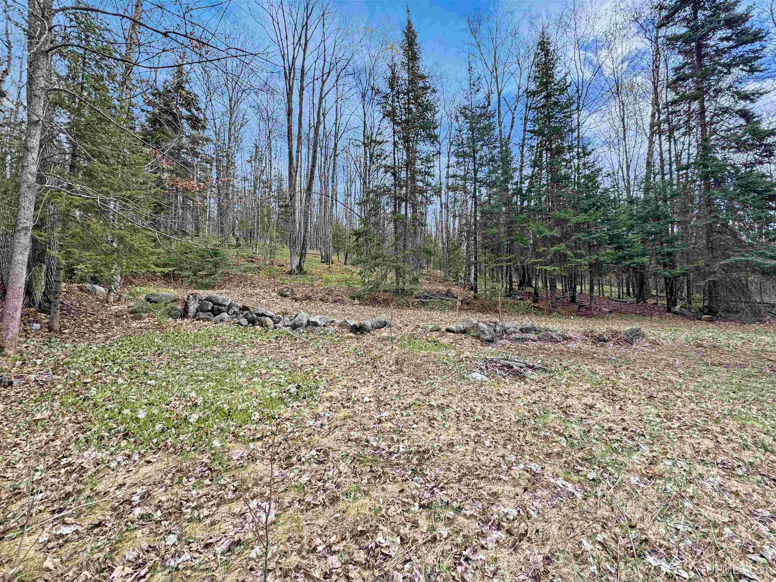 176 East Lake Emily Road Crystal Falls, MI 49920 - Photo 5 of 17