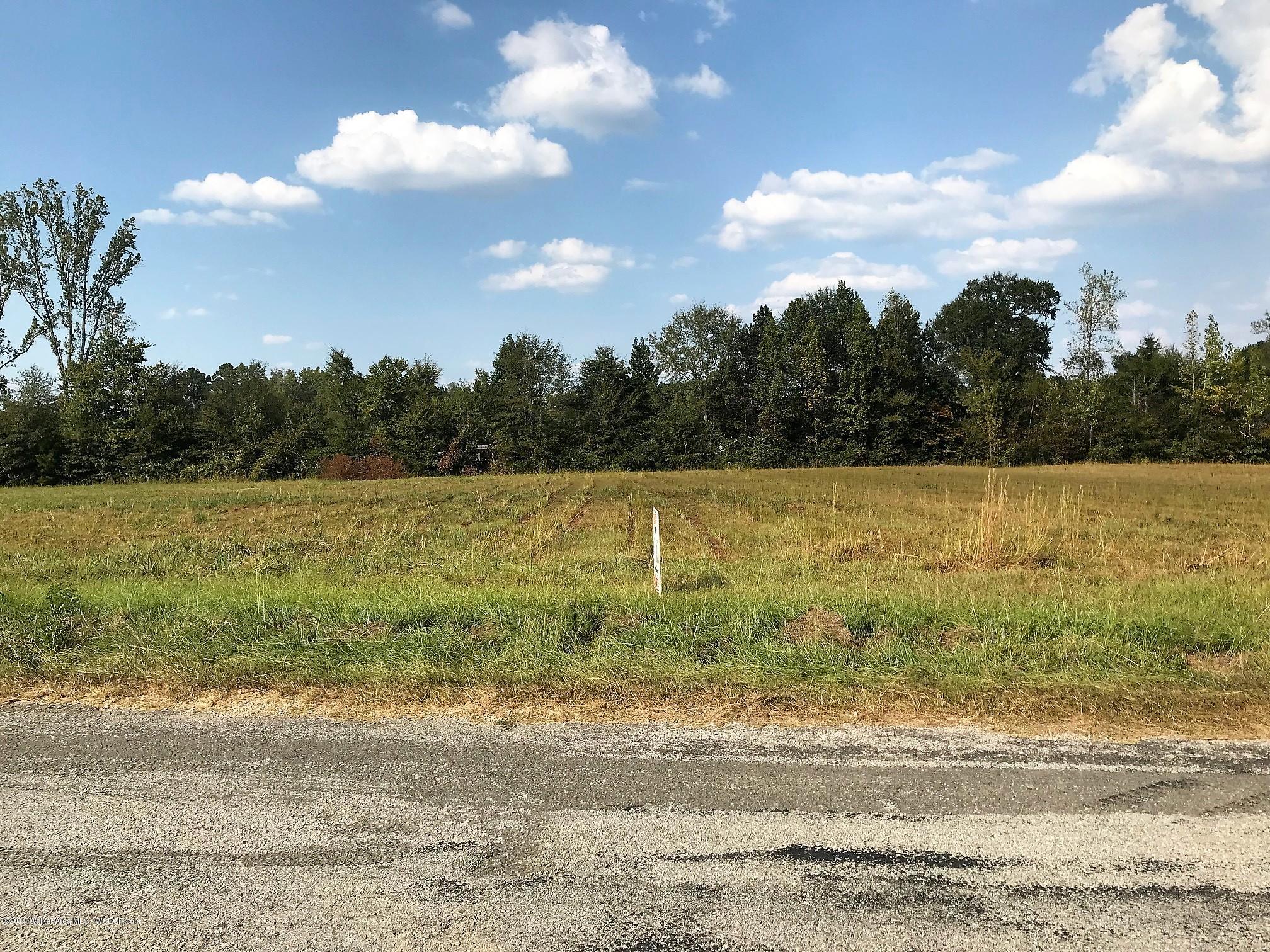 Old Indian Mound Road Hamilton, AL 35570 - Photo 2 of 5 Gallery Image 2