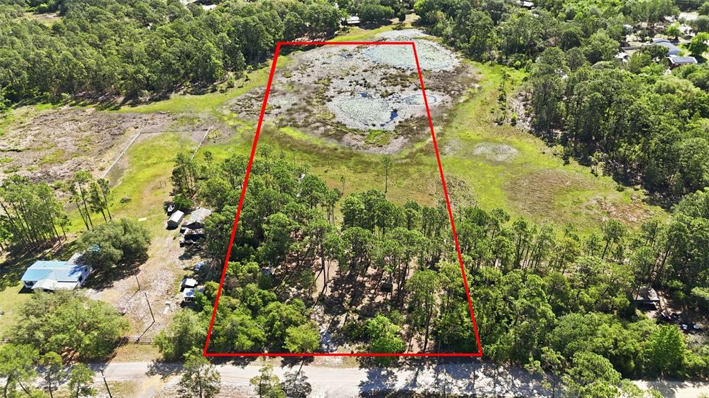 Tbd Holly Branch Road Eustis, FL 32736 - Photo 12 of 13