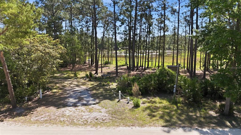 Tbd Holly Branch Road Eustis, FL 32736 - Photo 13 of 13