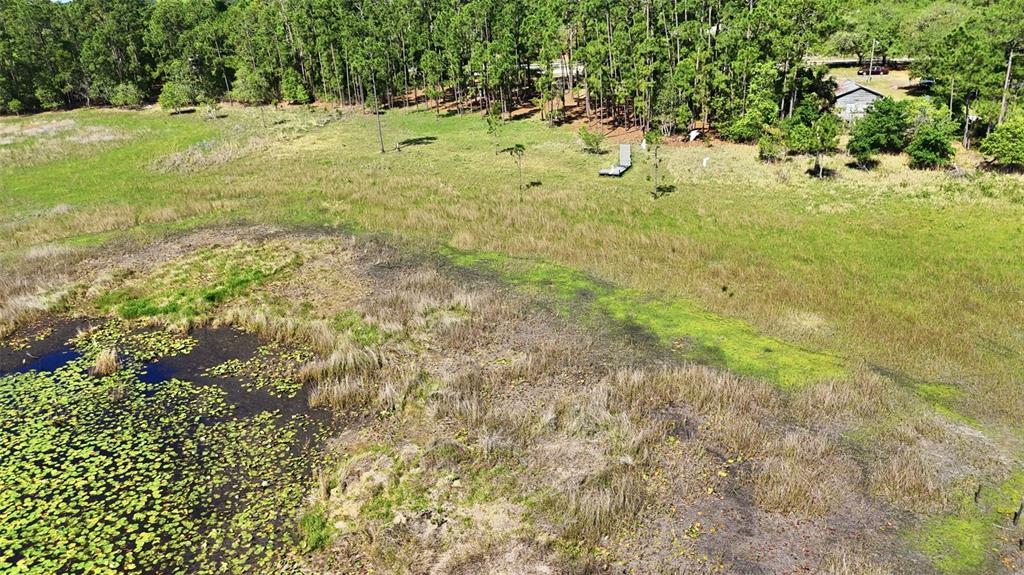 Tbd Holly Branch Road Eustis, FL 32736 - Photo 2 of 13