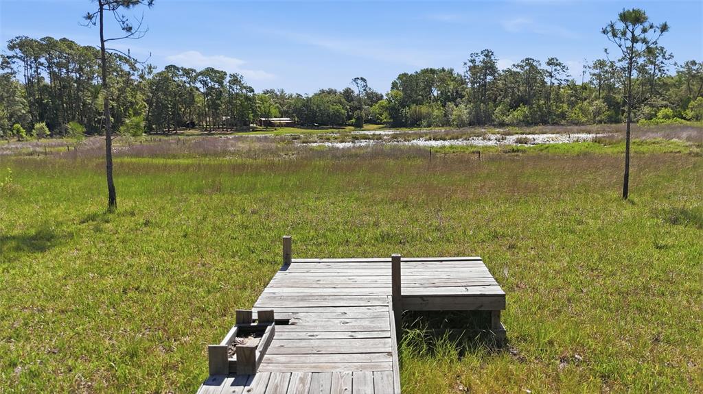 Tbd Holly Branch Road Eustis, FL 32736 - Photo 3 of 13