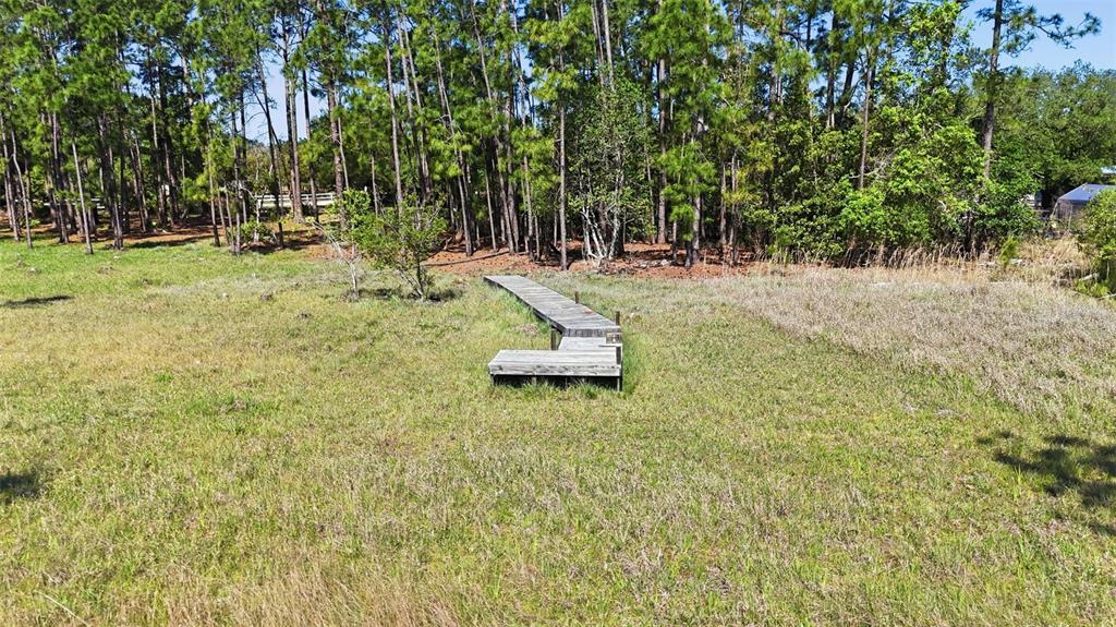Tbd Holly Branch Road Eustis, FL 32736 - Photo 5 of 13