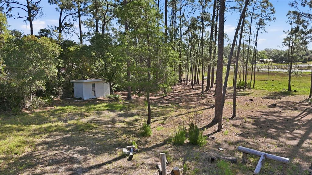 Tbd Holly Branch Road Eustis, FL 32736 - Photo 6 of 13