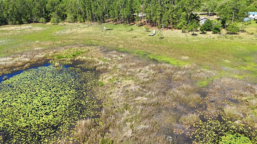 Tbd Holly Branch Road Eustis, FL 32736 - Photo 7 of 13