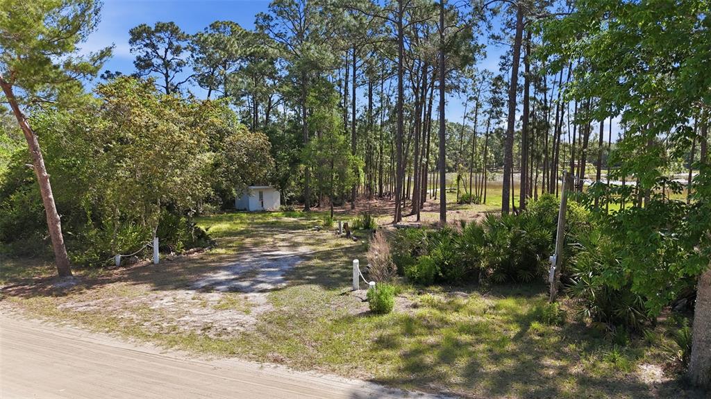 Tbd Holly Branch Road Eustis, FL 32736 - Photo 8 of 13